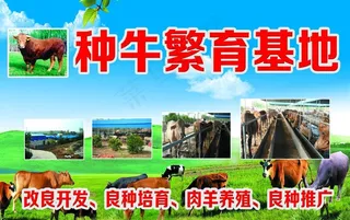 牛场基地图片