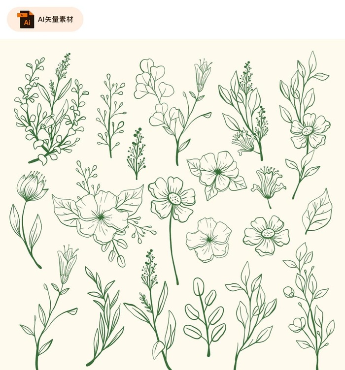 手绘植物花草素材图片