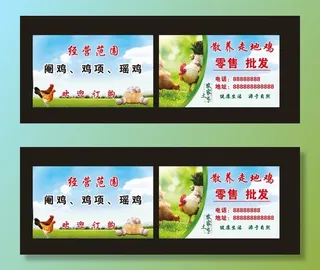 散养走地鸡 土鸡名片 农家图片