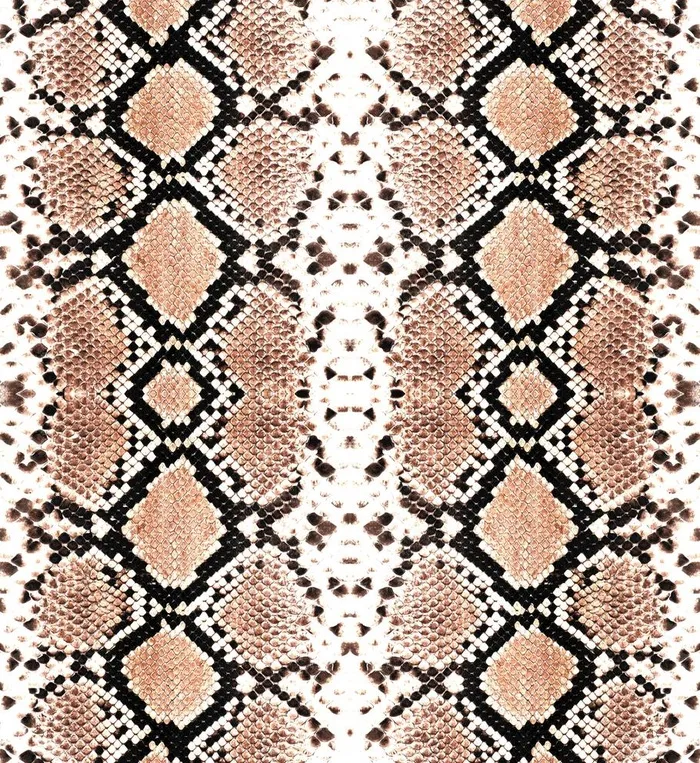 蛇皮图片(3030x3410)