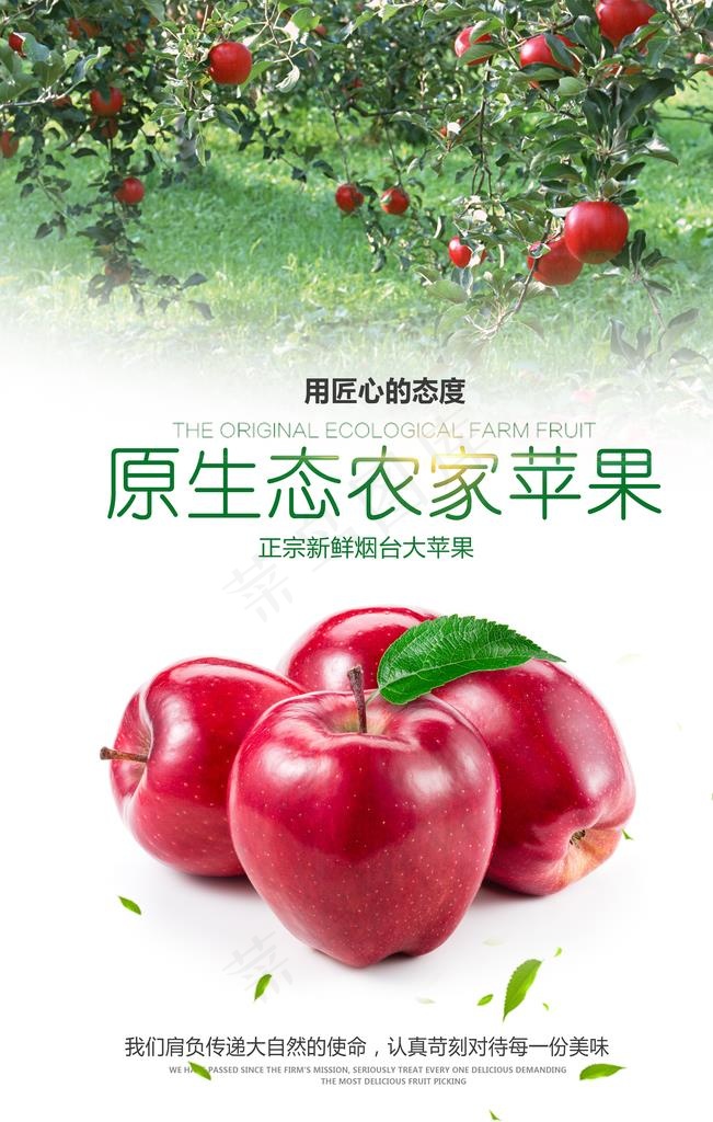 新鲜苹果海报设计图片