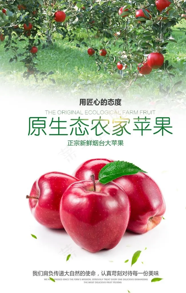 新鲜苹果海报设计图片(3543x5315)psd模版下载