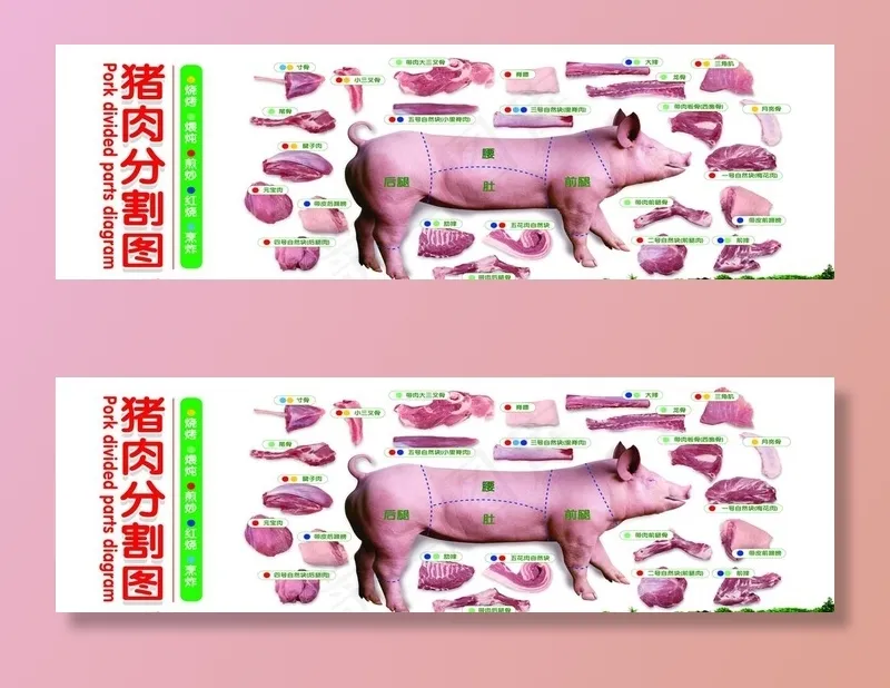 猪肉分割图片psd模版下载