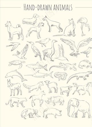 手绘动物图片