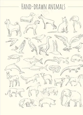 手绘动物图片