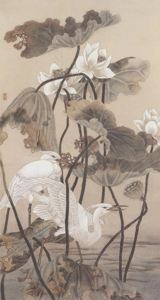 陈之佛国画 秋荷白鹭图片