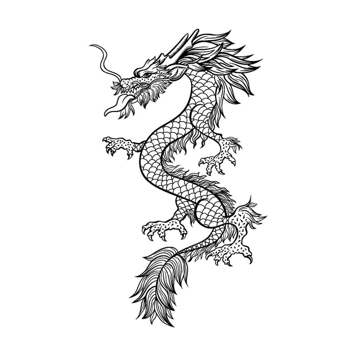 中国风传统龙云纹图案图片eps,ai矢量模版下载