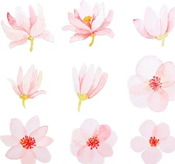 唯美小清新粉色水彩桃花樱花图片