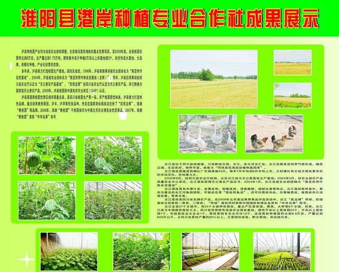 农业种植成果展示图片cdr矢量模版下载