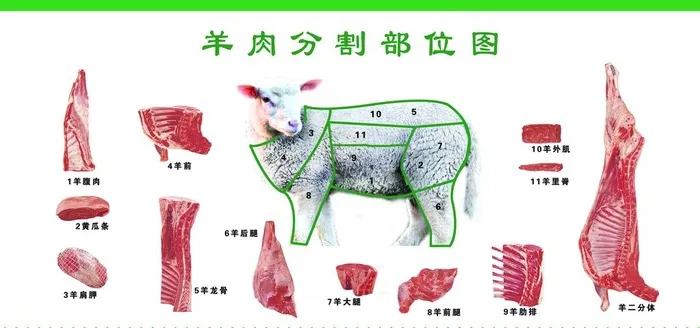 羊肉分割图图片(6803x3402)psd模版下载