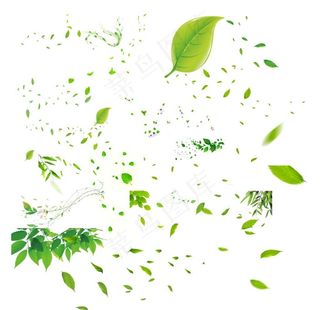 绿叶素材图片