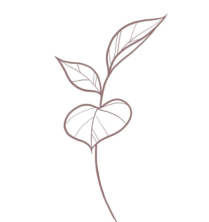 线描简约叶子图片