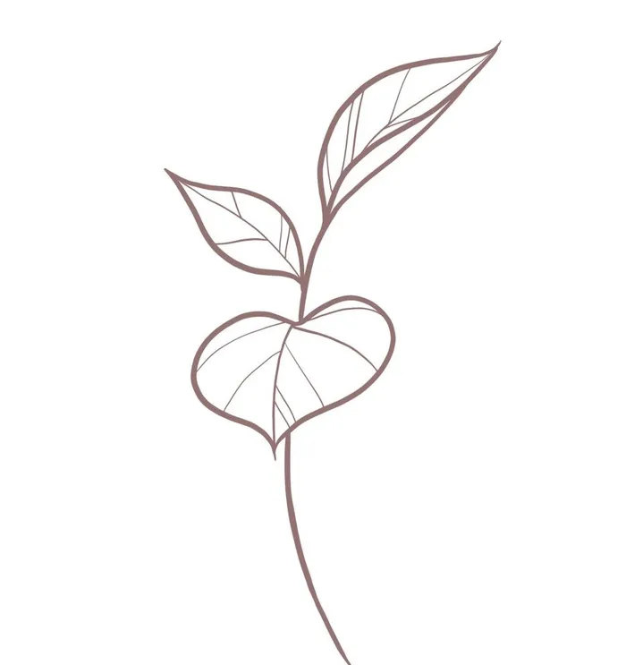 线描简约叶子图片(3200x3508)psd模版下载