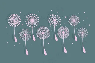 手绘卡通蒲公英图片