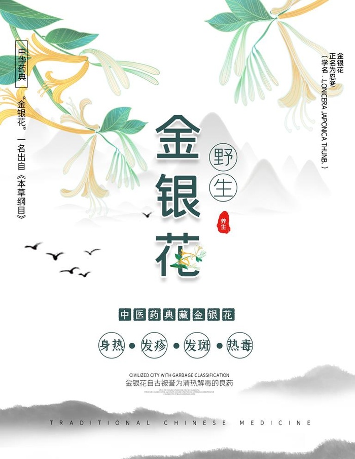 金银花图片(3543x4724)psd模版下载