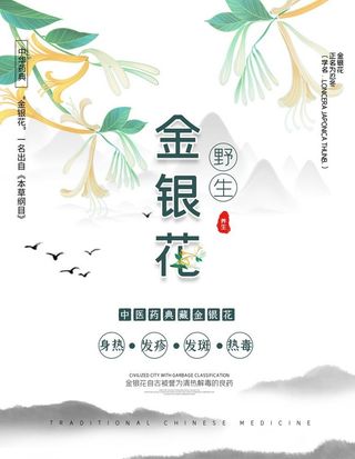 金银花图片