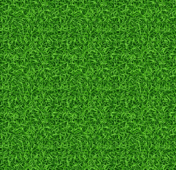 青草背景 植物        图片