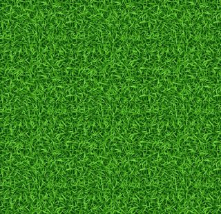 青草背景 植物        图片