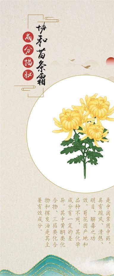 成分表 中药材 菊花 水墨山水图片