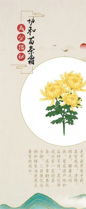 成分表 中药材 菊花 水墨山水图片 成分表 中药材 菊花 水墨山水图片