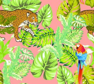 豹子  热带图片