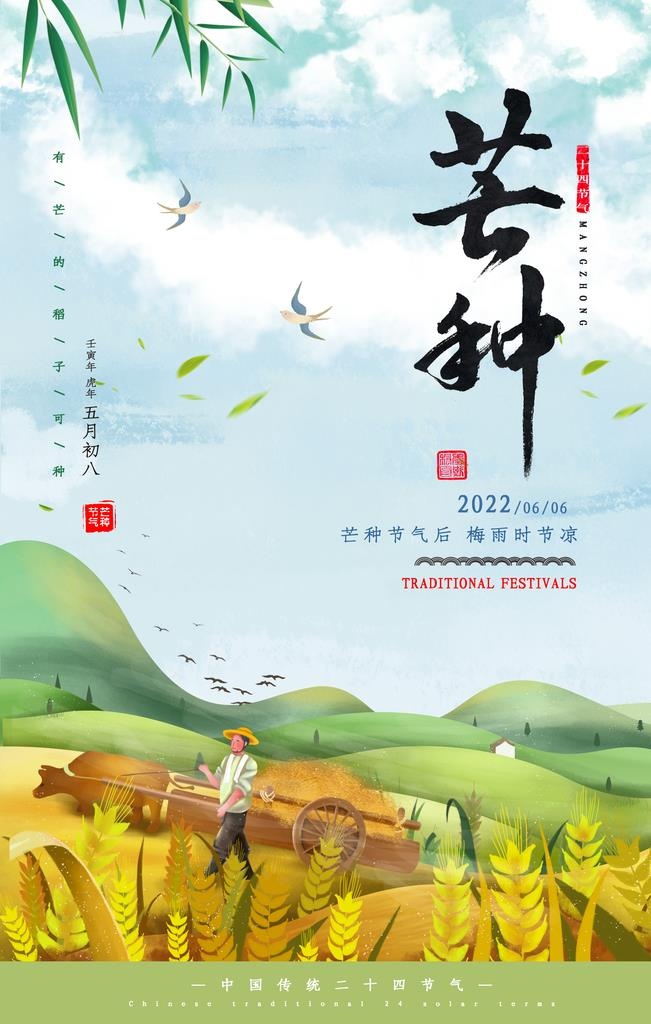 芒种海报图片