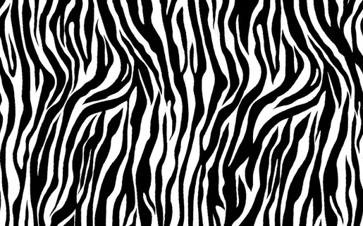 斑马纹图片