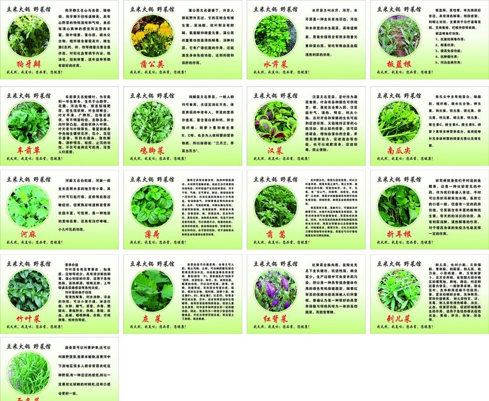 野菜简介图片cdr矢量模版下载