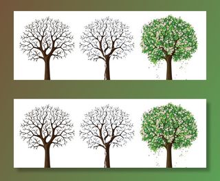 树图片