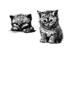 猫的线稿图图片