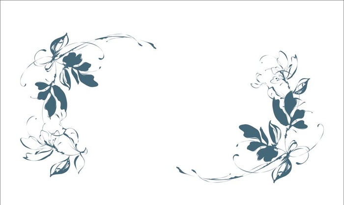 植物对角花图片