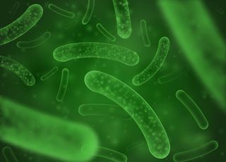 细菌背景图片