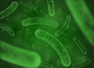 细菌背景图片