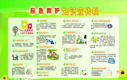 应急救护知识宣传栏图片