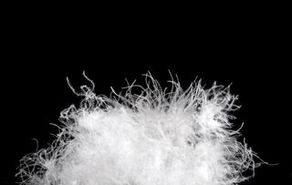 羽绒  白鹅绒图片