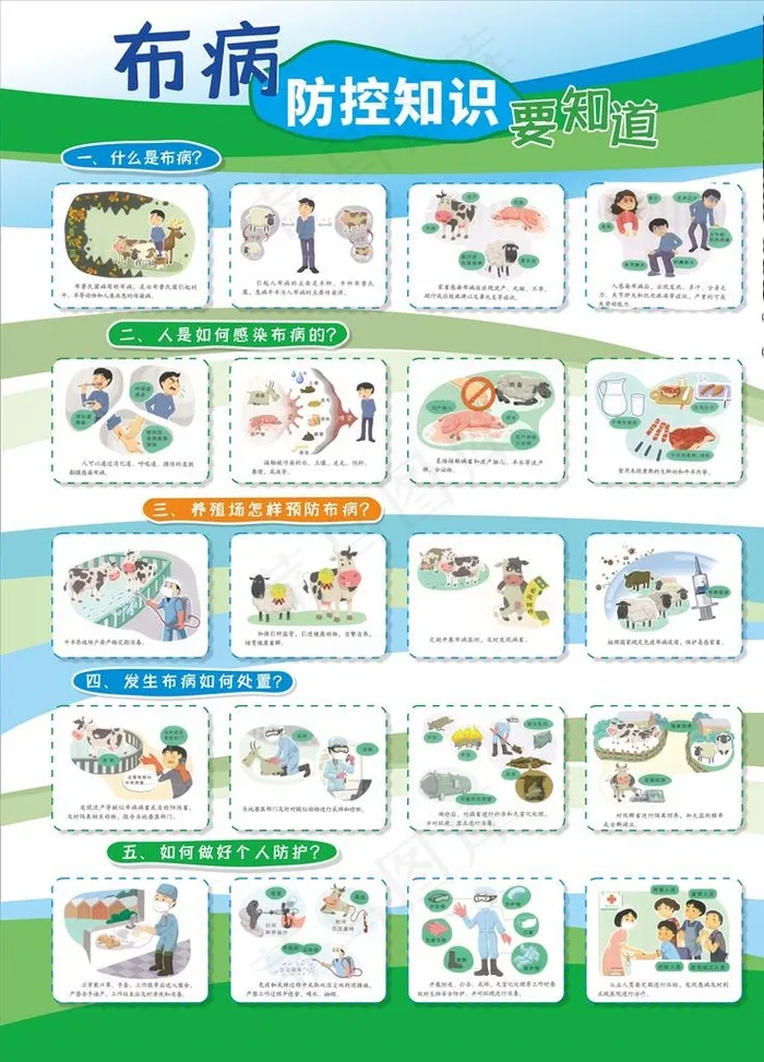 布病防控知识图片cdr矢量模版下载