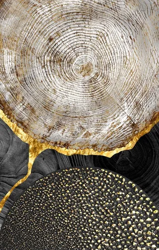 木纹年轮纹理图片