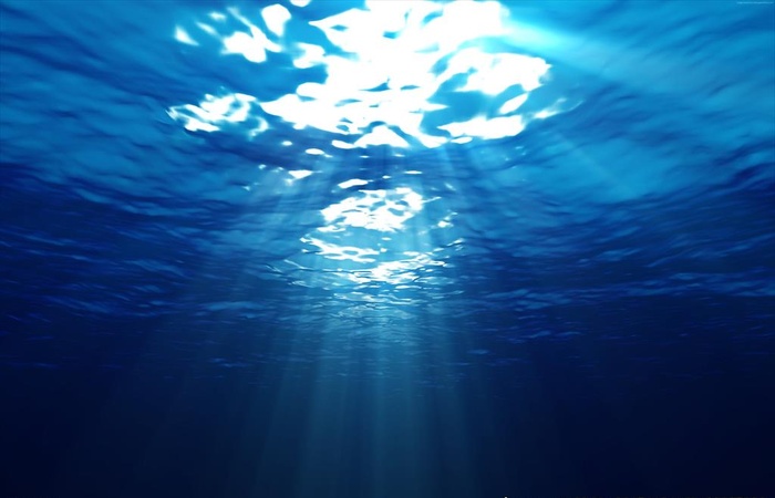 深海图片
