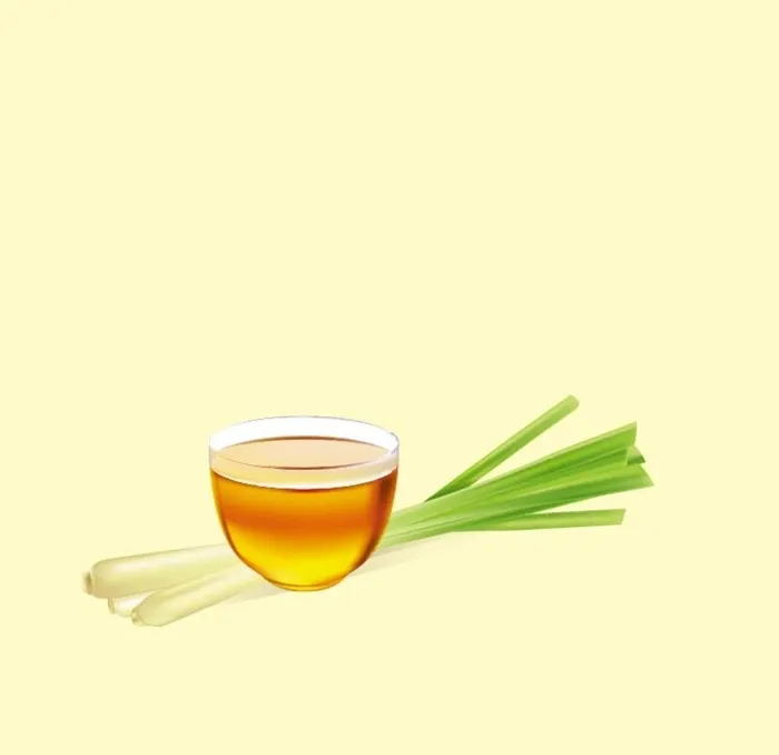 卡通柠檬草图片eps,ai矢量模版下载