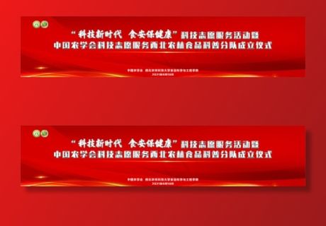 红色幕布背景图片