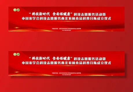 红色幕布背景图片