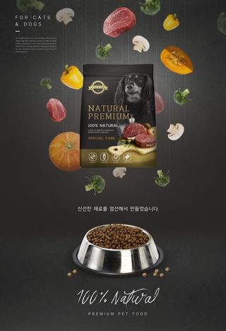 宠物 狗粮海报图片