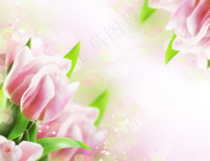 艺术花卉背景图片