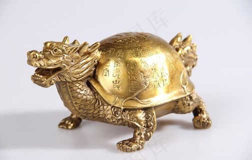 龙龟图片