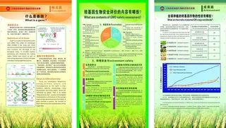 转基因成果介绍图片