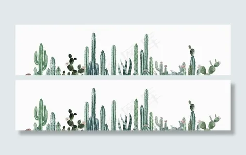 仙人掌图片