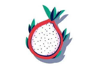 火龙果手绘图片