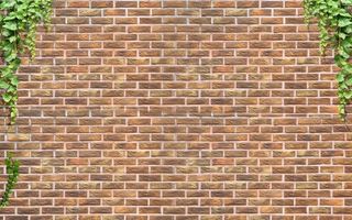 砖墙图片