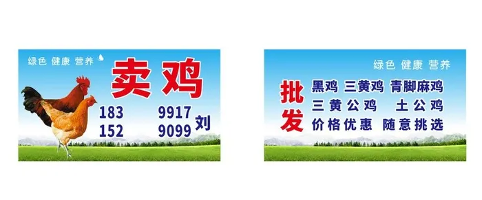鸡图片cdr矢量模版下载