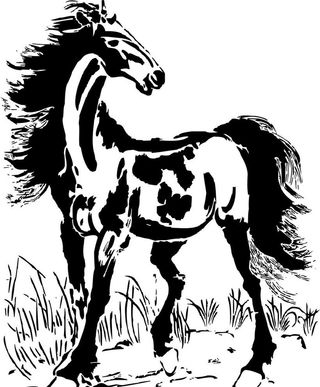 回头马 草地图片